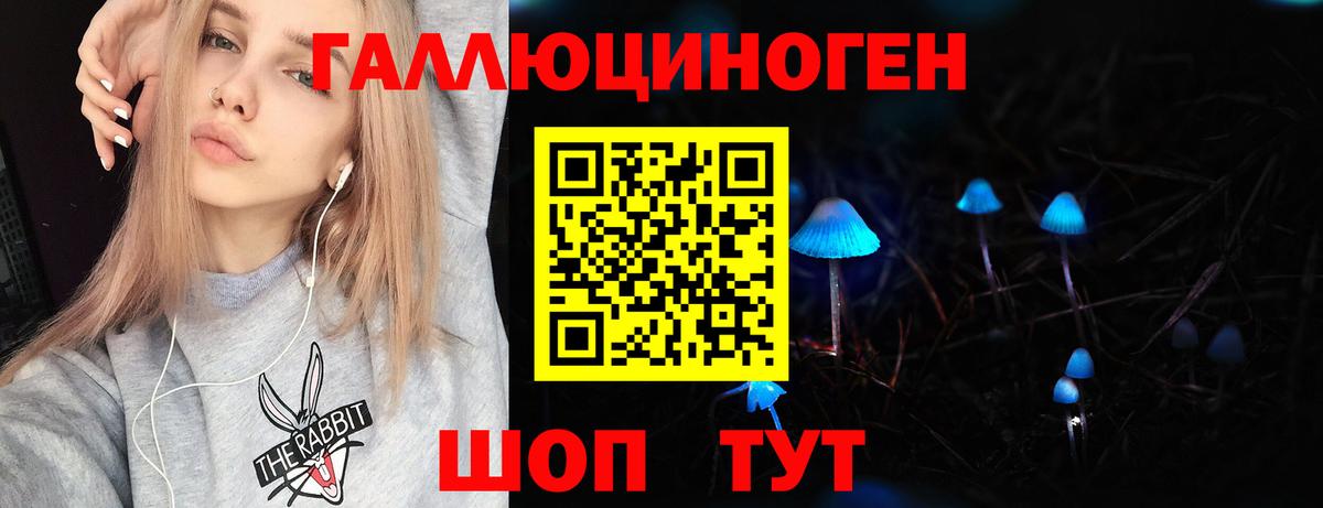 Галлюциногенные грибы прущие грибы  Вход с VPN  Богданович 